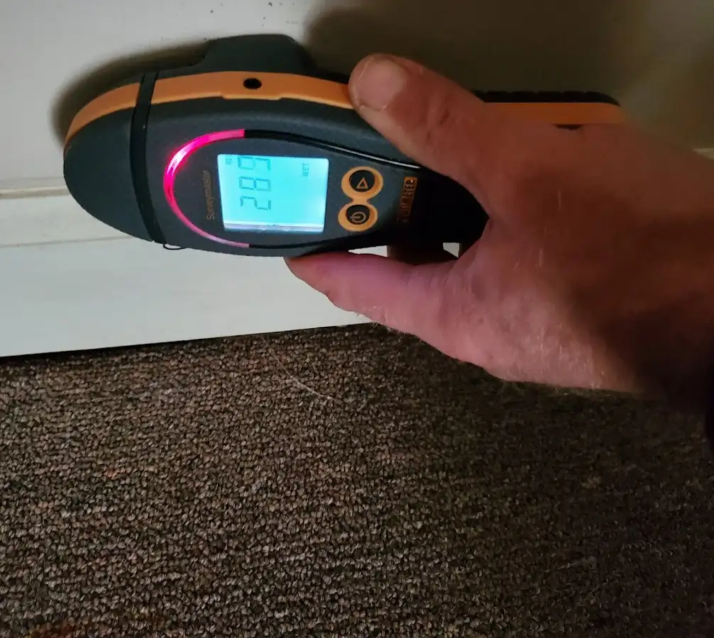 Moisture detection at baseboard during Mold Inspection & Testing in Wylie